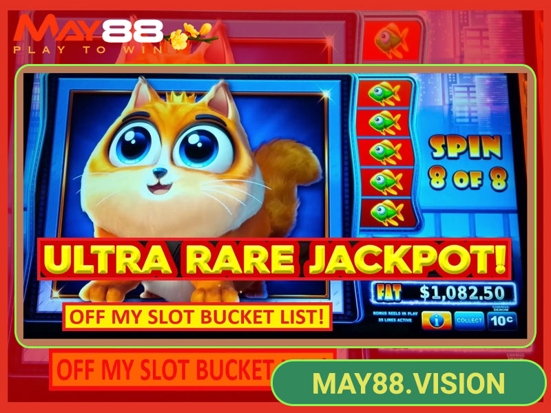 Tham gia chơi game slot nổ hũ mèo bắt cá
